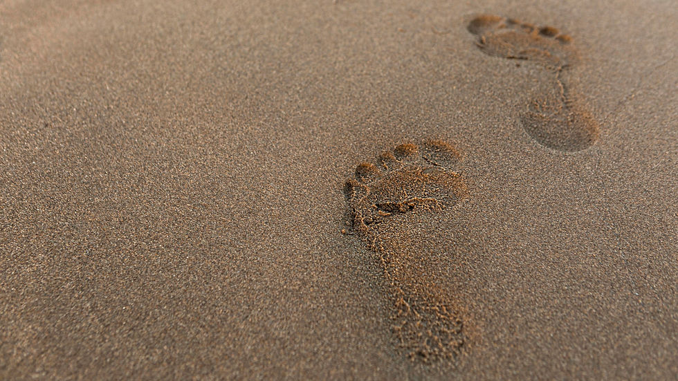high-angle-footprint-sand-beach.jpg