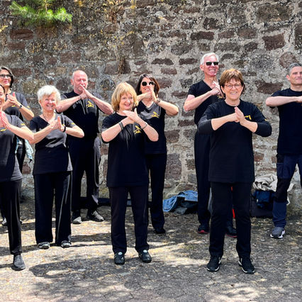 Tai Chi Ba Fa Wu Bu - A new Tai Chi Standard