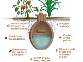 Bella Terra -- Tous les atouts des oyas