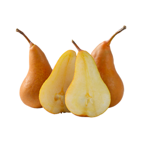 bosc pears.png