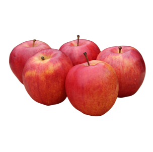 honeycrisp apple.png