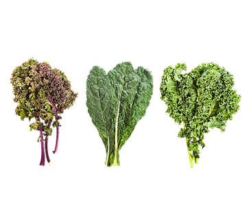 all kale.png