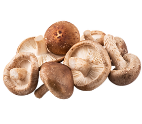 shiitake.png