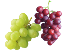red and gree graps.png