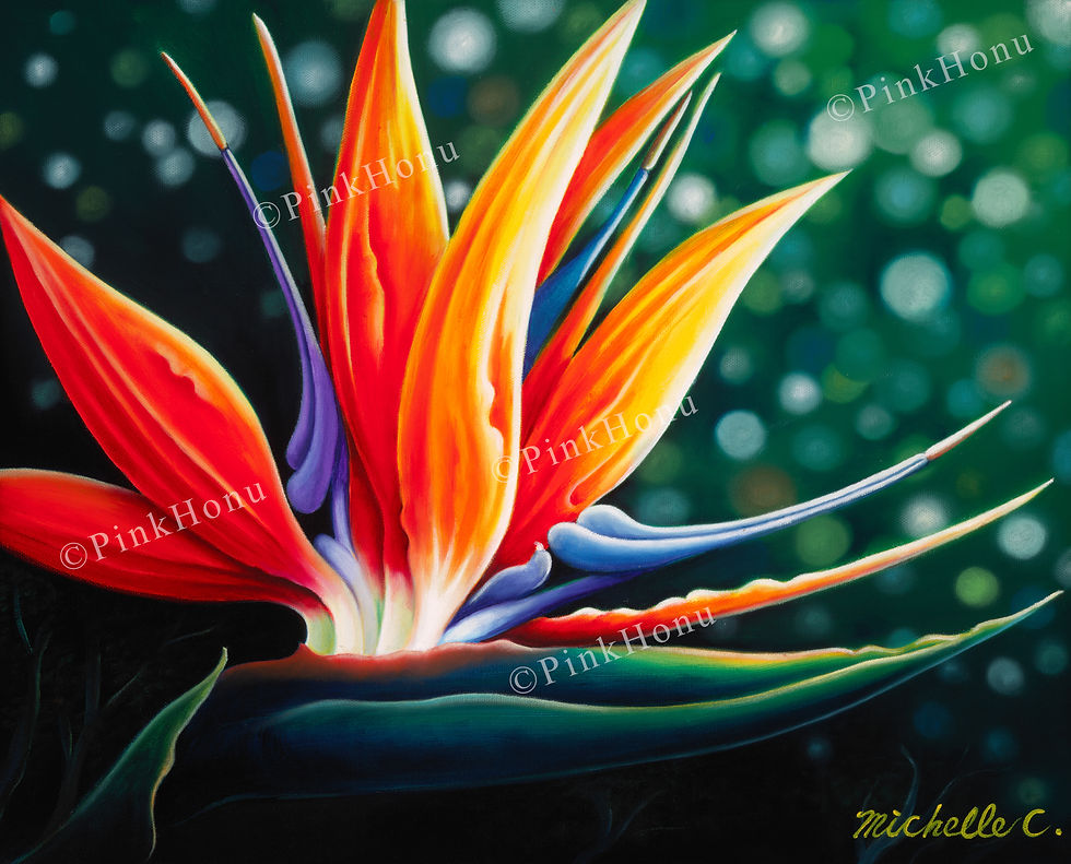 Colorful Bird of Paradise