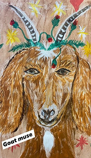 magic jet goat