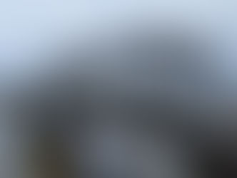 Alexandra Bridge is shortlisted for replacement.