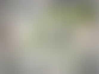 Matthew Perry House Progresses Slowly Amid Growing Concerns