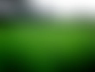 Keep Your Lawn Healthy