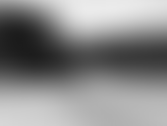 City Council Unanimously Advances Island Park Drive Heritage Designation Process