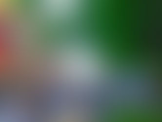 Capital RibFest Cancelled for 2025 Due to City Hall Construction