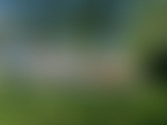 Island Park Drive sets record with 132 Canadian flags on Canada Day