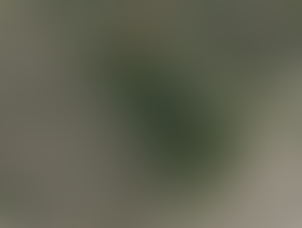 Demolition of Decommissioned Washroom Facilities at Hampton Park