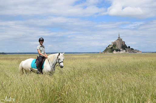 opl (20)_2380x1584.JPG