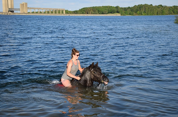 DSC_0548 (800x533).jpg