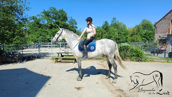 IMG20240609162100_01_1152x648.jpg