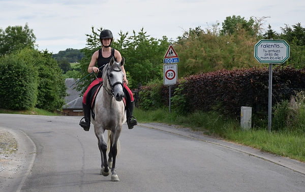 DSC_0368 (800x506).jpg