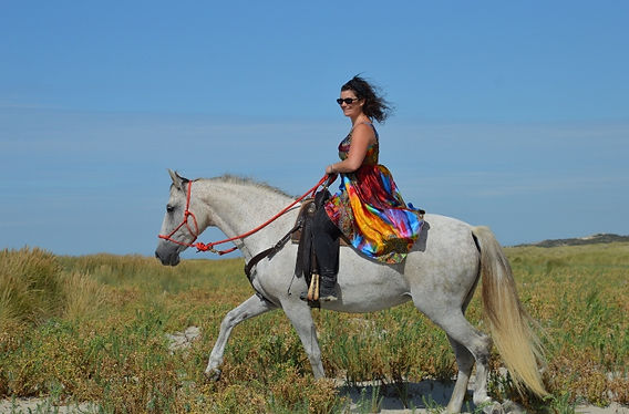 DSC_0775 (800x532).jpg