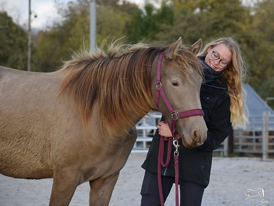 4GFB (2)_1426x1075.JPG