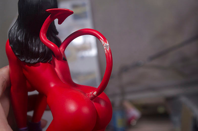 Coop Wheel Girl 正在修复损坏