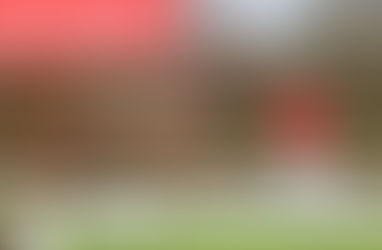 Another approved son of Olympia 4.0 PJF by Feliciano