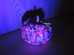 Pumpkin?