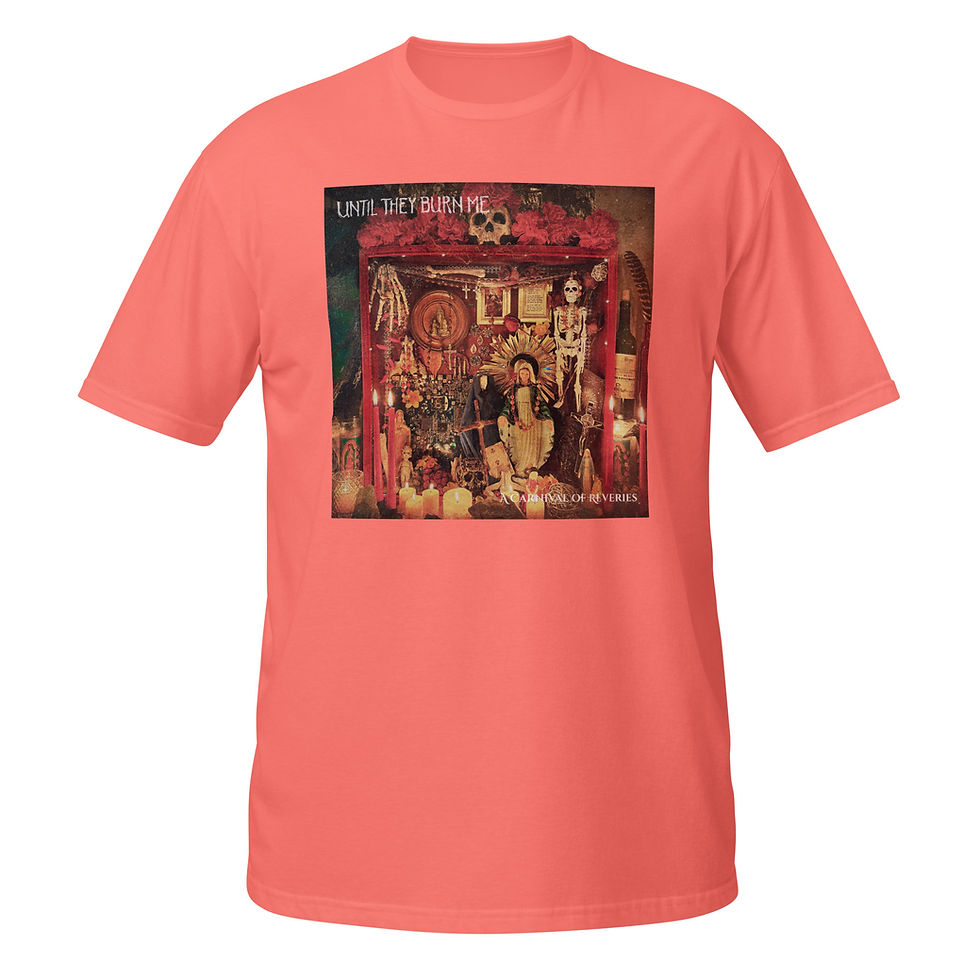 Thumbnail: UTBM - A Carnival of Reveries