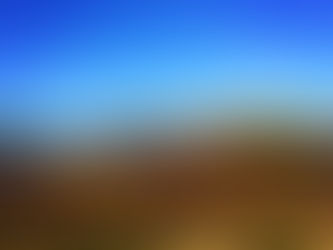 Family ties with the Savages of Ards