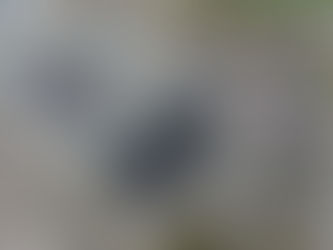 Wie vertikale Photovoltaik zur Erfüllung der europäischen Richtlinie über die Gesamtenergieeffizienz von Gebäuden beiträgt