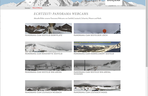 Embed into Website 1.png