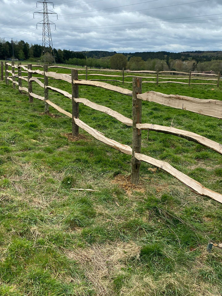 Rustic wooden fence in grassy field, background of trees and power lines.