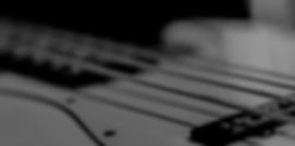 Bass Websize_edited.jpg