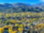 Durango Copyright Dan Korman.jpeg