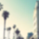 Palms