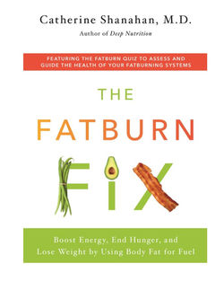 The Fatburn Fix