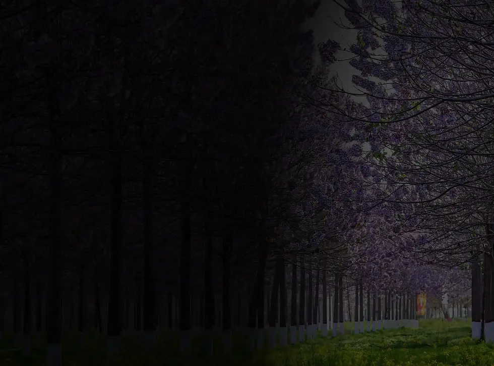 bg Rectangle 15 1.webp