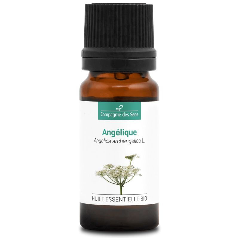 Organic Angelica Essential Oil - 10 ml