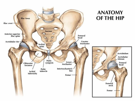 Keep your hips, hip: