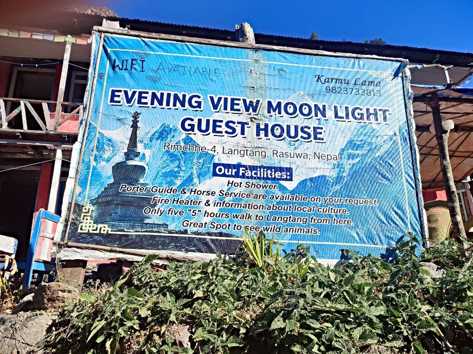 The Evening View Moon Light Guest House in Rimche. Rimche is a village on the Langtang trek.