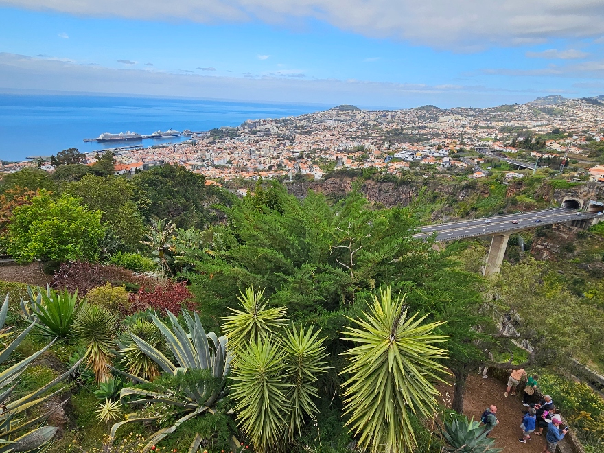 View from Madeira Botanical Gardens near Funchal.