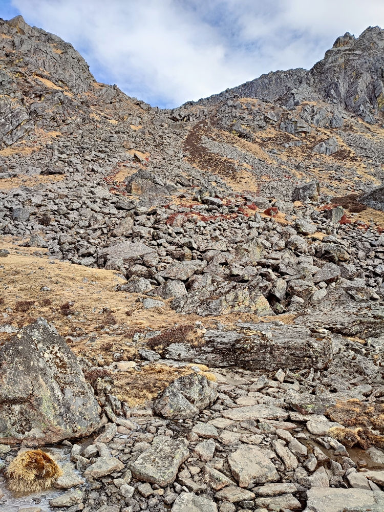 Looking back to the final section of the descent. Surya Peak is a good day hike when doing the Gosainkunda and Helambu trek.