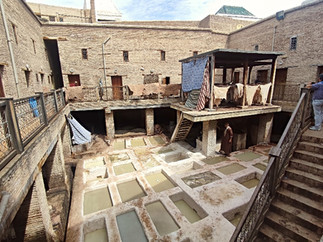 Tannery Ain Azliten in Fes, Morocco