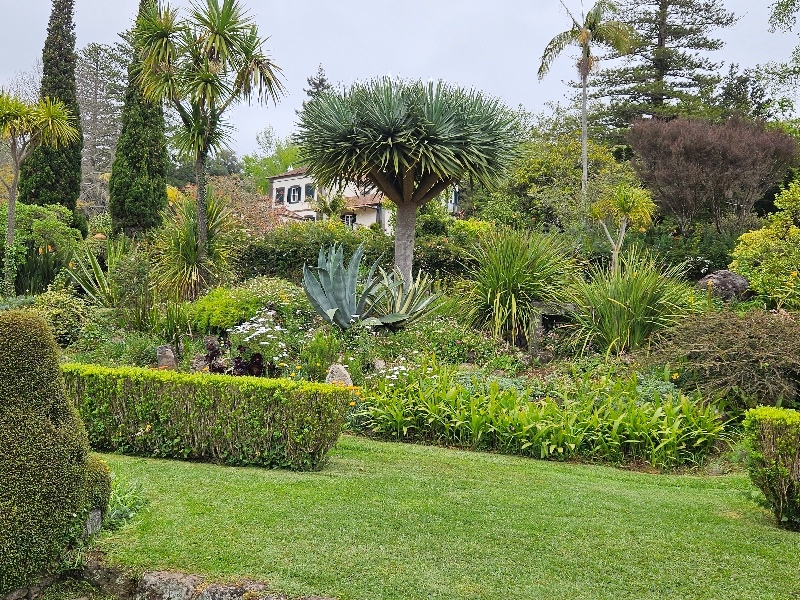 Palheiro Gardens in Funchal, Madeira.