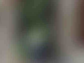 Koronos in Naxos, Greece.