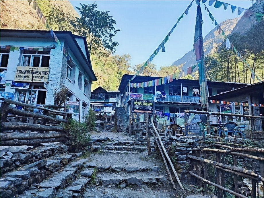 The Village of Lama Hotel on the Langtang trek.