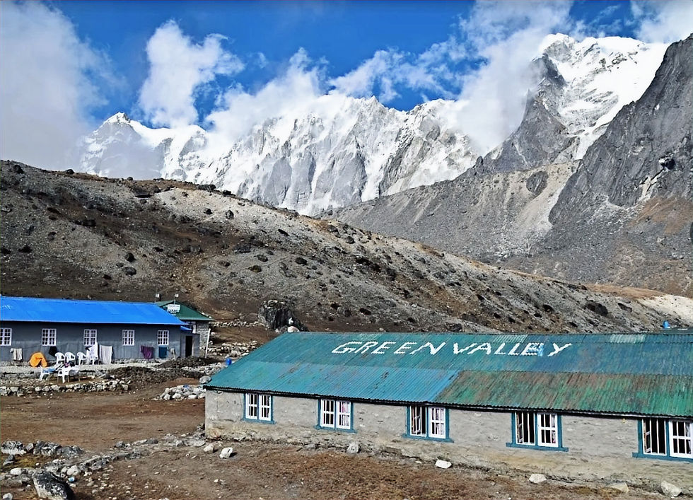 Hotel Green Valley in Dzongla