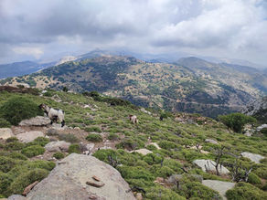 Hike on Mount Zas