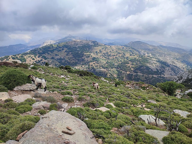Walk up Mount Zas in Naxos, Greece.