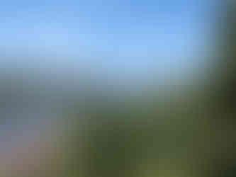 Jardins do Palácio de Cristal in Porto, Portugal