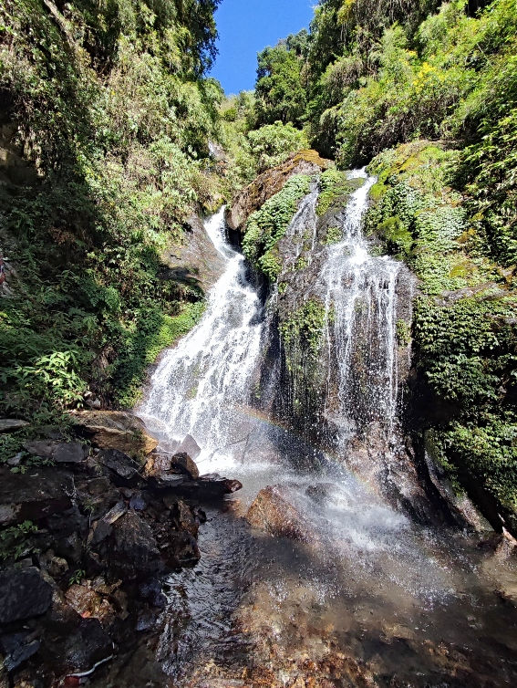 The scenery whilst hiking from Tortong to Kengsra on the Kanchenjunga Base Camp trek.